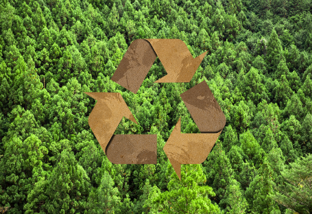 FSC & EUDR & PEFC Guide för engångsupphandling av cateringtillbehör